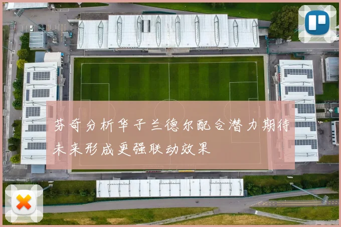 芬奇分析华子兰德尔配合潜力期待未来形成更强联动效果